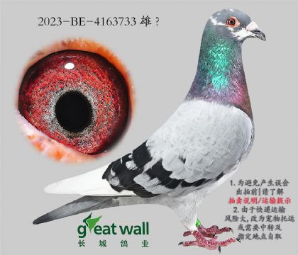 10.Ӵ.4163733