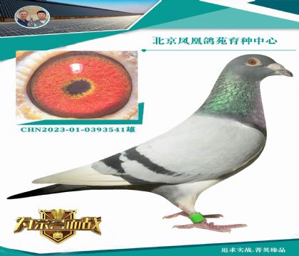 롰ɸꡱֱX ɸ