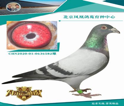 ˸̨ ˫عھ ˫ؼ ͬ