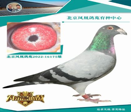 ƥ˻ض006ֱXǲ999240000ֱ