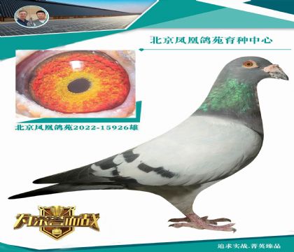 ϲٰһҪ ǳٰѪϵ