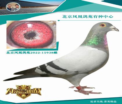 Ѫϵ Եʵս