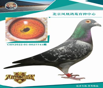ɫ漣X޽̩˹ڰĦֱŮ  8