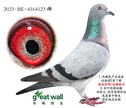1.ҫxʱ.4164123
