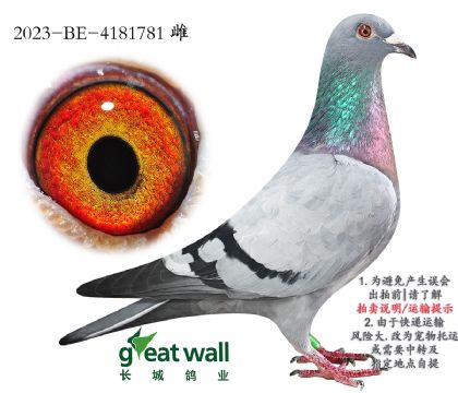 2.xɯ.4181781