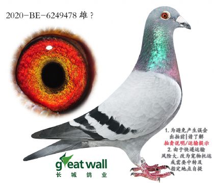 5.ұԭ.6249478