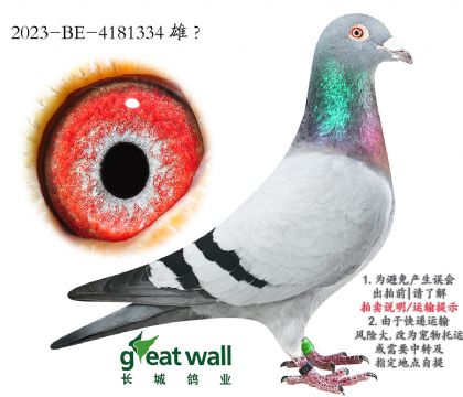 6.һضӴ.4181334