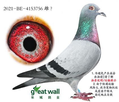 7.ʱֱ.4153756