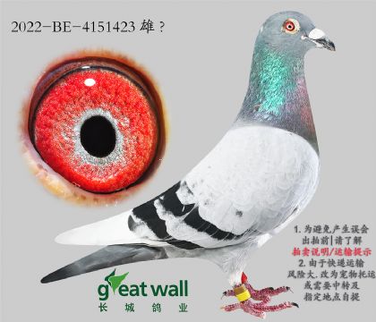 10.޿xӴ.4151423