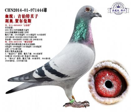 ´롰ءֱ