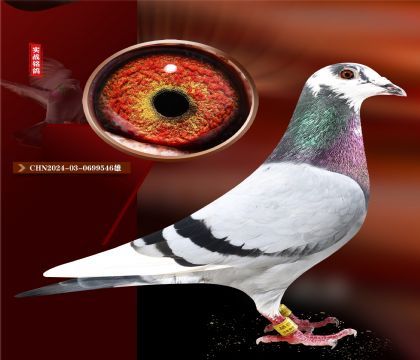 Ƽҵһ۽׻Ѫֱӡ