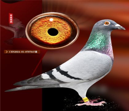 ٷְСӽѪ