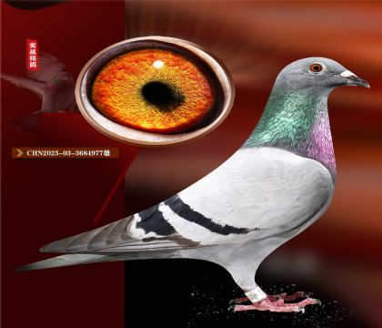 ҵһ۽׻ѪֱŮ