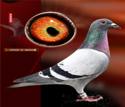 ҵһۻѪֱӡ