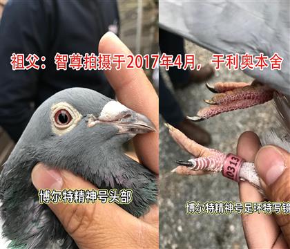 游