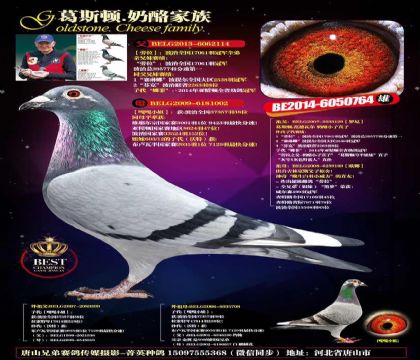 游