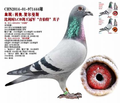 游