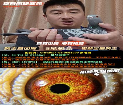 ⡷汲ȫǸ