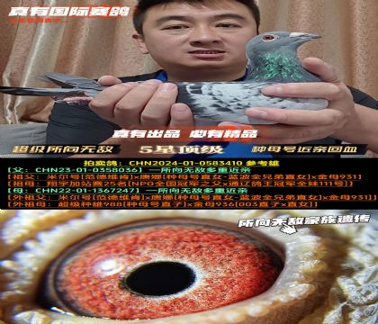 ޵гסĸŽ׻Ѫ