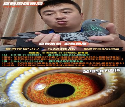 Ŵĸ587ӥƽԻѪ