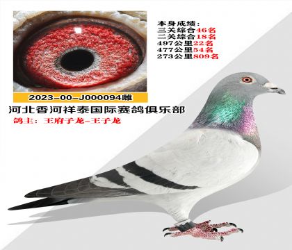 ѡ̩