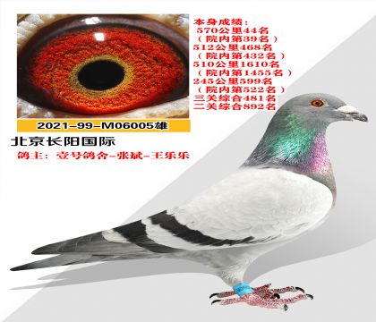 ҼŸűѡͱ