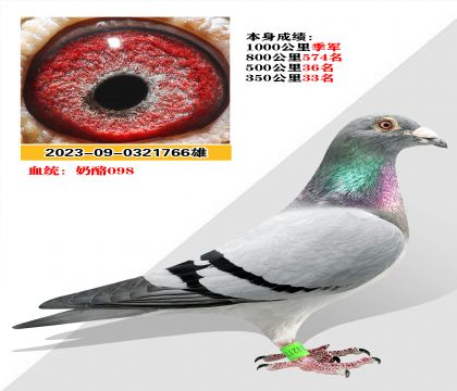 Ѫͳ 098    1000ھ