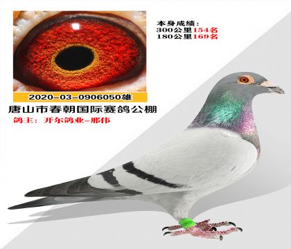 ҵѡɽ빫