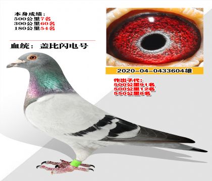 Ѫͳ  Ǳ5007