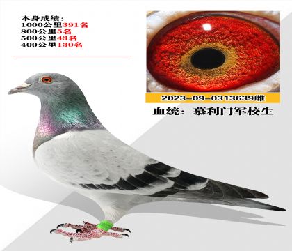 Ѫͳ ĽžУ8005