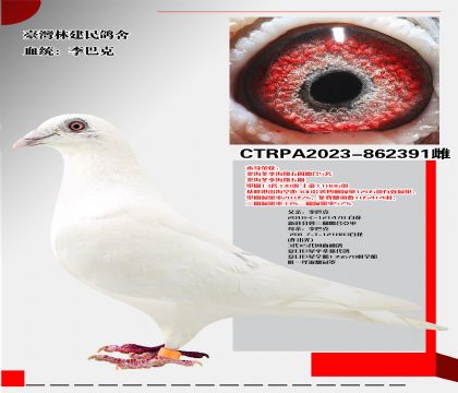 ֽ̨ᡰͿˡ  ۺ5