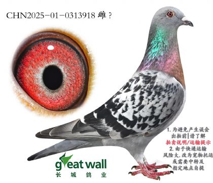 1.ͼ˹xʱ.0313918