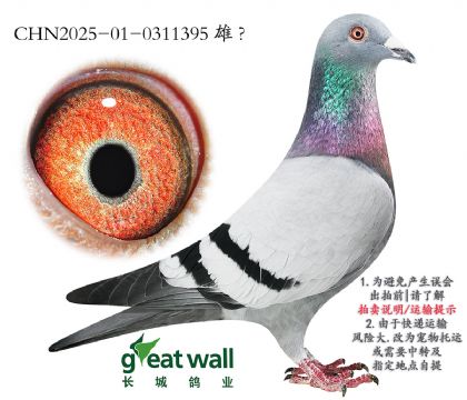 2.xʺ.0311395
