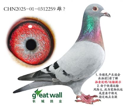 3.ƶx¿.0312259