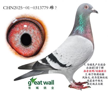 4.ʱ911ȫӴ.0313779