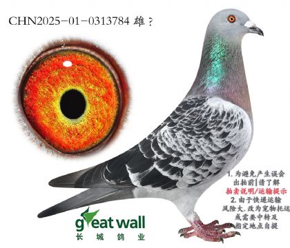 5.ƽ.0313784