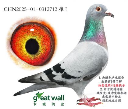 7.ȫ017.0312712