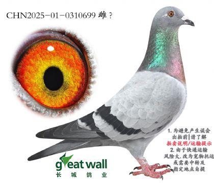 8.ҫŽѪ.0310699