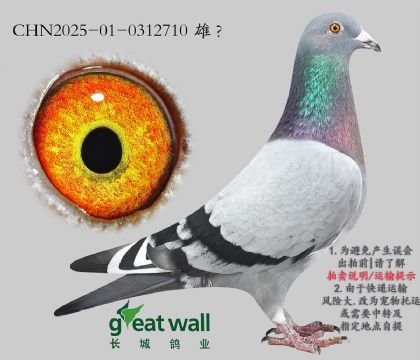 9.˹Ѫ.0312710