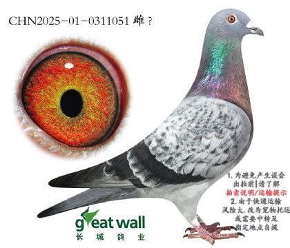10.ھ50Ӵ.0311051
