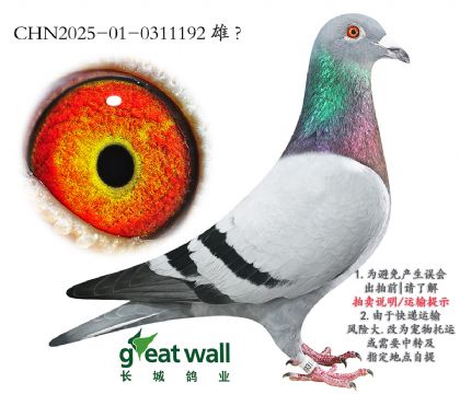 11.⹫6Ӵ.0311192