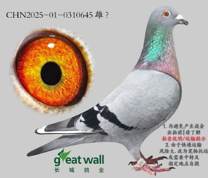 12.ҽ鵻Ѫ.0310645