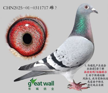 14.ƽӼ.0311717