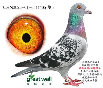 15.Ǽʱ.0311135