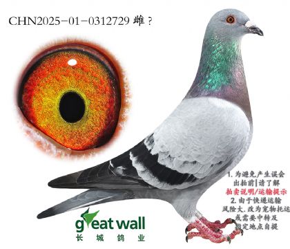 16.ʱ911Ѫ.0312729