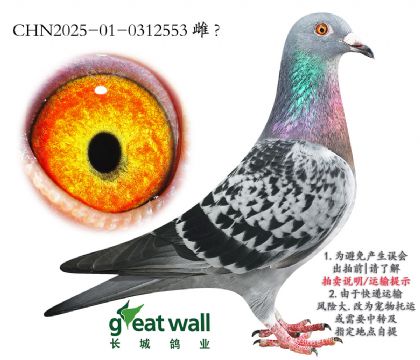 17.˹363Ѫ.0312553