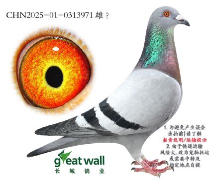 18.ιھx緫Ǿ.0313971