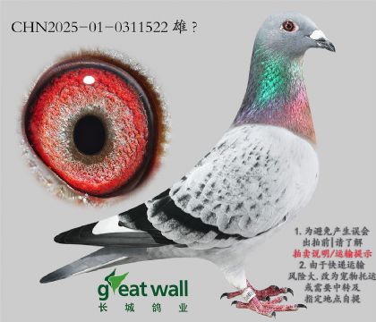 19.޿Ӵ.0311522
