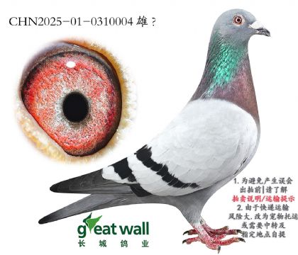20.ͼ˹ػѪ.0310004