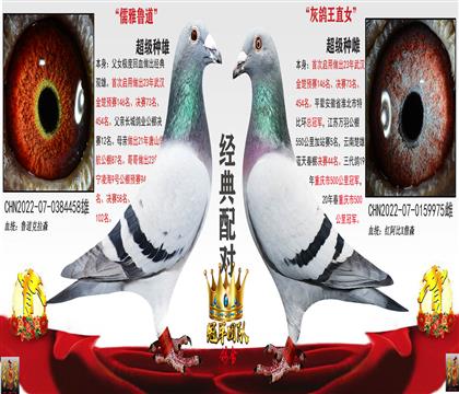 人73ĸ